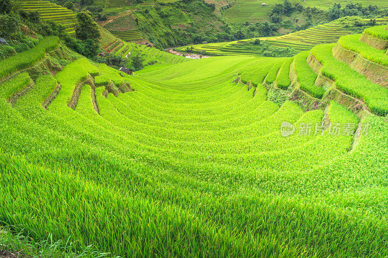 美丽的风景，绿色的稻田准备在越南西北部的梯田日落山在木仓寨，Yen Bai，越南